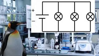 Physics Penguins Guide to series and parallel circuits