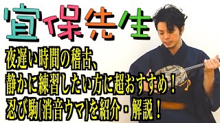 第35回【三線の師範が教える】夜遅い時間の稽古、静かに練習したい方に超おすすめ！忍び駒(消音ウマ)を紹介・解説！