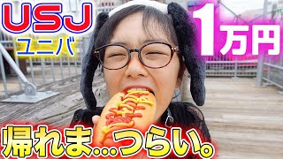 【USJ】1万円分食べるまで帰れません！タピオカやターキーレッグ他...つらいw【ユニバ】