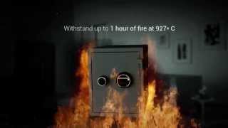 Yale Biometric Fire Safe