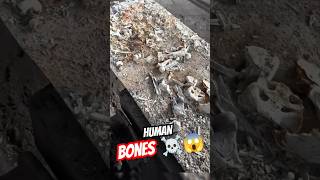 Inside the Cremation Chamber 🔥☠️ #wonderclips