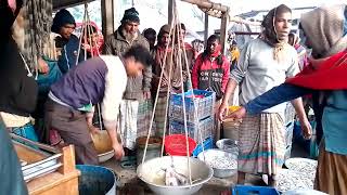 07/02/25🥀❤️ fish is being sold? Through auction.#fishing #fishmarket #vairalvideo #fish #fishing