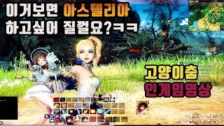 [Astellia]아스텔리아 한번도 안본사람은 있어도 한번만 본사람은 없다는 그거! / 아스텔리아 고양이춤