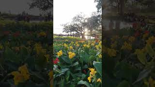 Gandipet flower garden #gandipet #hyderabad #tourism #ecopark #shorts #youtubeshorts#ytshorts #short