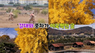 만추와  🌡초겨울의 이중주 ; 소래습지 생태공원