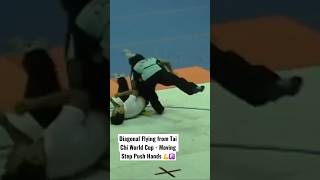 REAL version of Tai Chi’s Diagonal Flying Technique - Sports Push Hands Grappling 💪☯️ #martialarts
