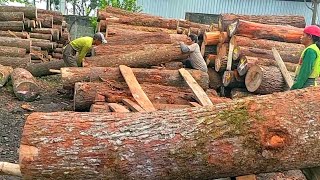 Yakin 1000% ,,!! Disini produksi Terbesar olahan kayu Pinus