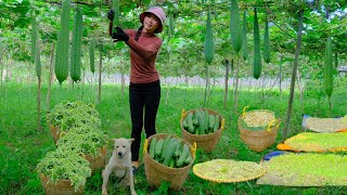 Full Video Harvest: Squash Tops, Bean Sprouts and Squash cooked into rustic dishes