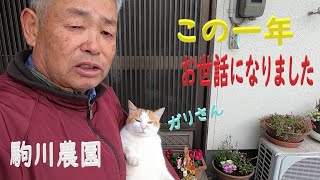 この一年お世話になりました　邑南町　駒川農園　22.12.31