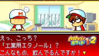 【パワポケ2】しあわせ島でも生きていけそう【イベント集】 【ネタバレあり】