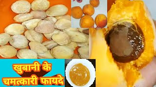 खुबानी के फायदे || Apricot Health Benefits || khubani ke chamtkari fayde