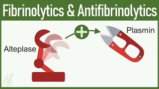 Fibrinolytics \u0026 Antifibrinolytics: Pharmacology