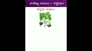 వాణిజ్య పంటలు – రాష్ట్రాలు #రబ్బరుపంట #commercialcrops #states #india #ytshorts #soujanya02