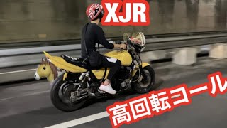 安定感のあるうまさ❗️XJR高回転コールガニブレ