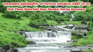 पावसाळ्यात मुंबईजवळील 'या'नयनरम्य धबधब्यांना नक्की भेट द्या - Waterfalls Near Mumbai During Monsoons