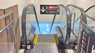 【起動ありエスカレーター】イオンタウン稲城長沼 下り【MITSUBISHI】Escalator,Aeon Town Inagi Naganuma