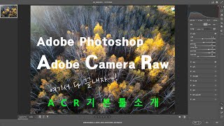 ACR [Adobe Camera Raw] 기본툴을 익혀보자 #AdobePhotoshop2025 #포토샵강좌 #포토샵보정의기초