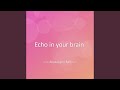 Echo in your brain