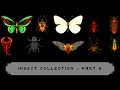 My Insect Collection 🐜🪲🪰🪳🦋🦗 | Part 2 | 8-BitJourney