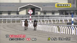 【2015育成馬展示会　調教映像】上場番号76 キソティックラヴの１３