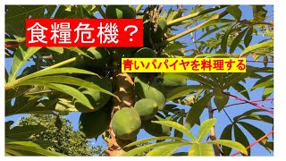 No.7 青いパパイヤを料理する　　食糧危機がささやかれています。新しい食材に挑戦しましょう！青いパパイヤを料理します。