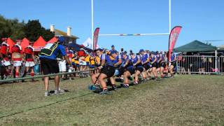 Sa Toutrek Worcester 560kg - Oakdale B