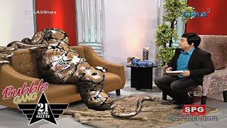 Bubble Gang: Burmese python, kinain ang lider ng ‘Hayop Ka’