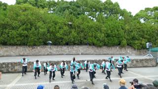 武蔵野大学 東龍天／本審査 ／ザ・よさこい！大江戸ソーラン祭り2018