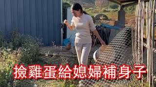 【石頭記事】老婆太瘦了，今天來魚塘撿幾個雞蛋給她補補，養胖一點