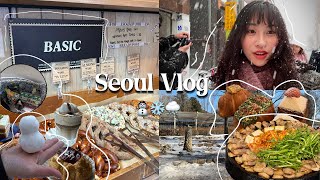 韓國VLOG🇰🇷首爾七天六夜｜首爾雪景初體驗❄️/COEX水族館🐠/明洞住宿推薦/南怡島一日遊/超好吃烤肉店🥩