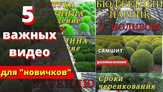 5 важных видео для \