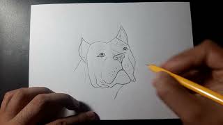 Como dibujar un PITBULL? | How to draw a PITBULL?