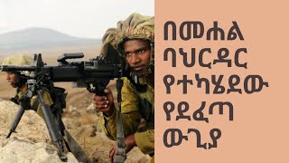 በመሐል ባህር ዳር ላይ የተካሄደው የደፈጣ ውጊያ።