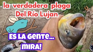 ¡Pesca en el RIO LUJÁN! Bogas, Bagres, Doradillos, Pacúes y más en el río Lujan #pesca #mg  #fishing