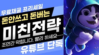 [도지젠] 투자금없이 3000벌어가는 미친 전략 유튜브 단독 최초공개