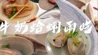 《烹飪》牛奶蛤蜊兩吃(清蒸、湯肴)