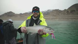 TWITCHING Jigs for Trout?! | Lohantan Cutthroat Trout Technique! | Yakima Bait Twitching Jigs