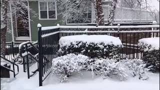 അമേരിക്കയിലെ ഒരു മഞ്ഞു കാലം  / Snow time in Charlotte NC - 2018