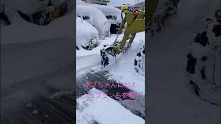 ボブキャット\u0026ジョブサン除雪の巻〜