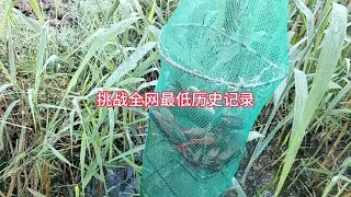 挑战全网抓黄鳝历史最低记录！都来聊聊哈！！！！