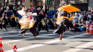 みちのくYOSAKOIまつり2024定禅寺通パレード【秋田大学よさこいサークルよさとせ歌舞輝】#よさこい #ダンス#dance #秋田