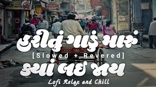 Hari Tu Gadu Maru Kya Lai Jay  | Lofi Relax and Chill | Slowed and Reverb | Gujarati Bhajan