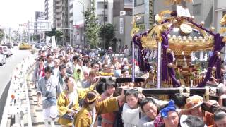 平成27年　蒲田八幡神社　例大祭　宮神輿巡行3