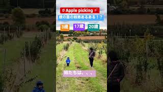 歳の差姉弟あるある！？りんご狩り🍎Apple picking