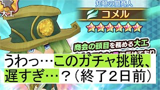 【ファンタジーライフオンライン】44連目★コメル？大黒天？いきなりガチャVIPチケット一点神推し！初心者素人無課金勢の稼ぎ方★個人売買BuyBuyマーケット！【ゲーム実況】Fantasy Life