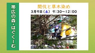 帯広 市役所だより2024年2月16～29日分