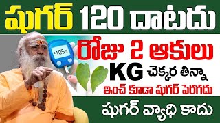 రోజు 2 ఆకులు జన్మలో షుగర్ 120 దాటదు.. | Diabetes, sugar thaggalante | Baba Santh Sadhanananda Giri