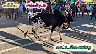 2023 மஞ்சுவிரட்டு அக்கராயபாளையம்//கட்டகொம்பு..💥#video #vairal #jallikattu #jallikattutraining