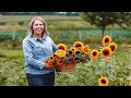 summer annuals that are easy to grow from seed seeds gardenvlog gardenvideo