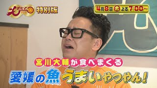 もぎたてテレビ　ゴールデン特別番組「宮川大輔が食べまくる 愛媛の魚うまいやつやん！」